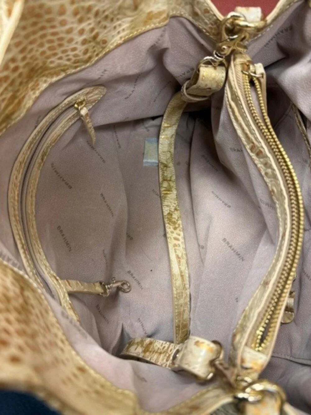 Brahmin chic python